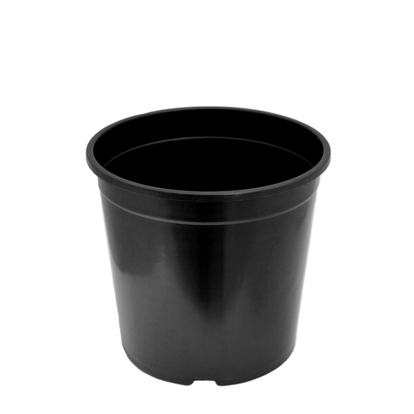 Containertopf Anzuchttopf in Schwarz | 13 cm