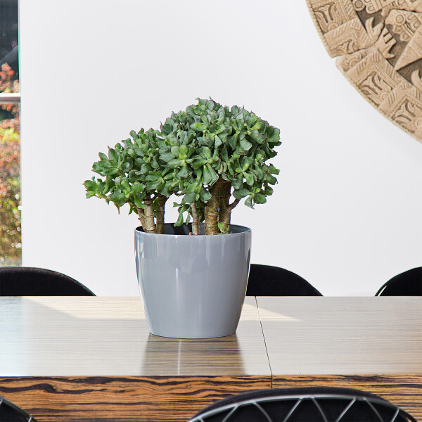 Blumentopf MAG Grau / Ø 30 cm