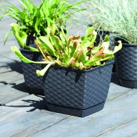 Blumentopf SQ in Rattanoptik Anthrazit / 25 cm