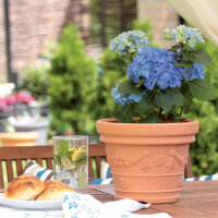 Blumenkübel mit Dekor in Terracotta | 23,5 cm