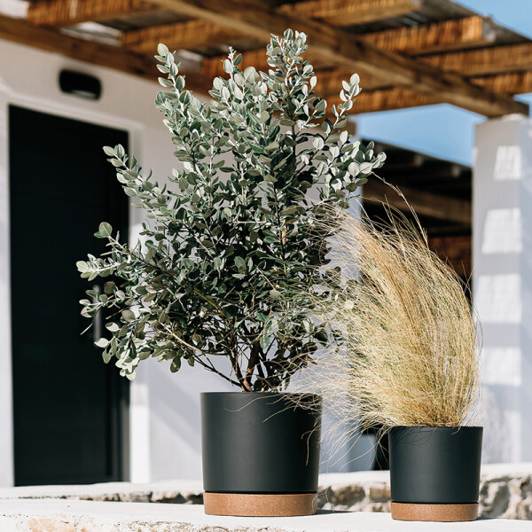 Blumentopf TB mit Untersetzer in Anthrazit | 24 cm