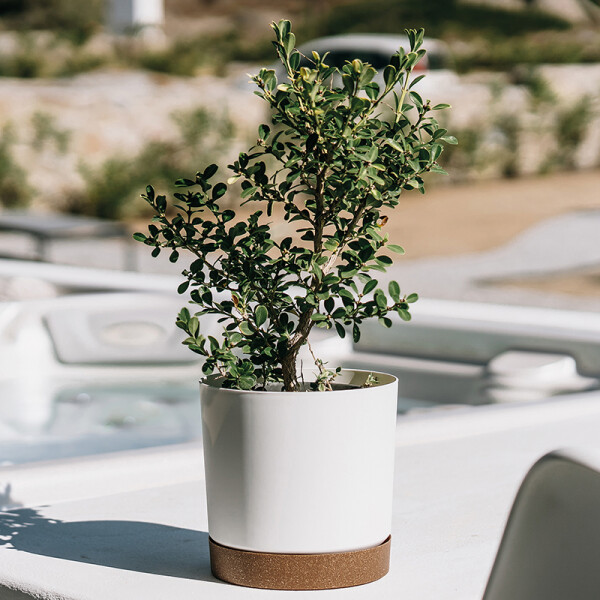 Blumentopf TB mit Untersetzer in Weiß | 24 cm